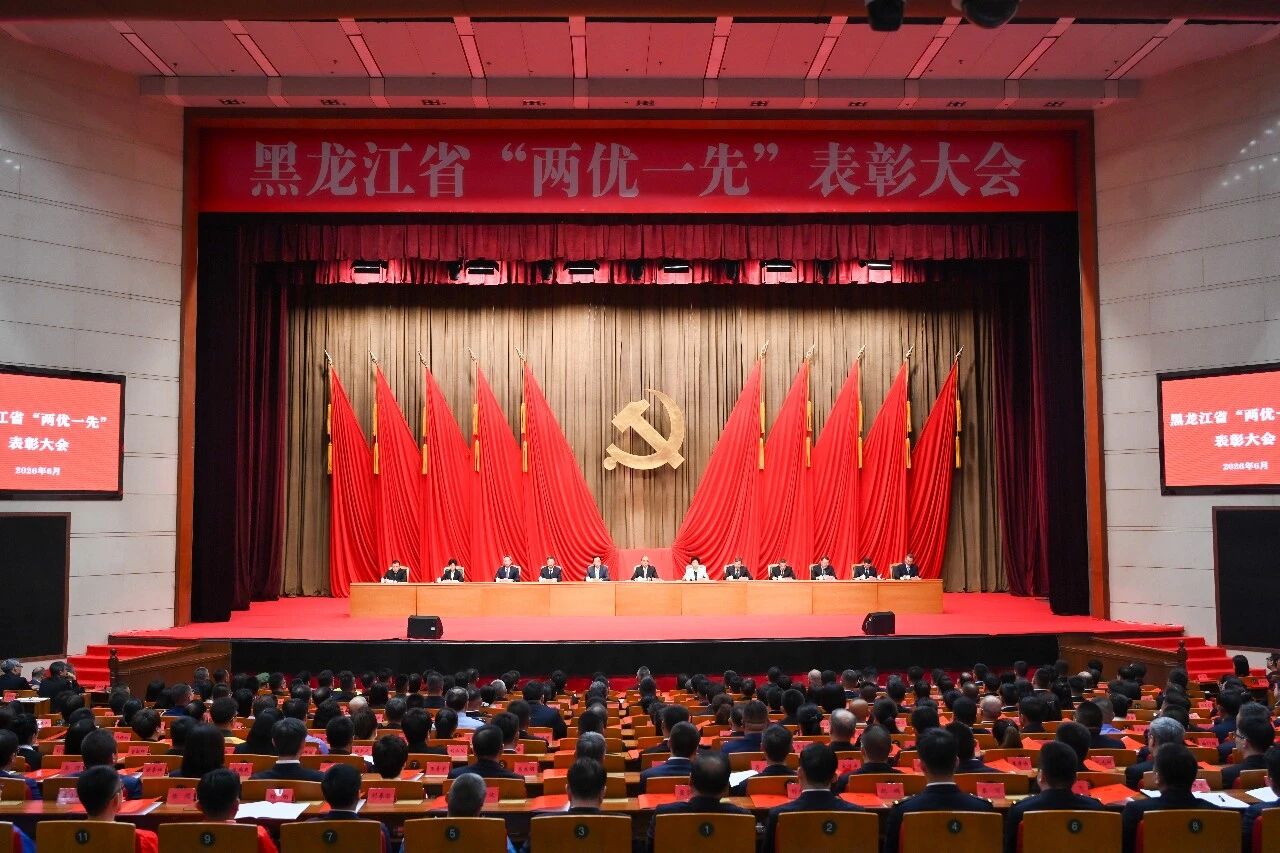 喜报！人生就是博官网党支部荣获黑龙江省先进基层党组织称号